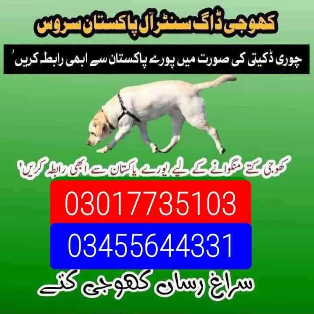 Army dog center Faisalabad 03017735103