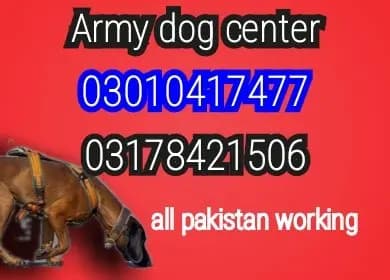 Army dog center multan 03010417477