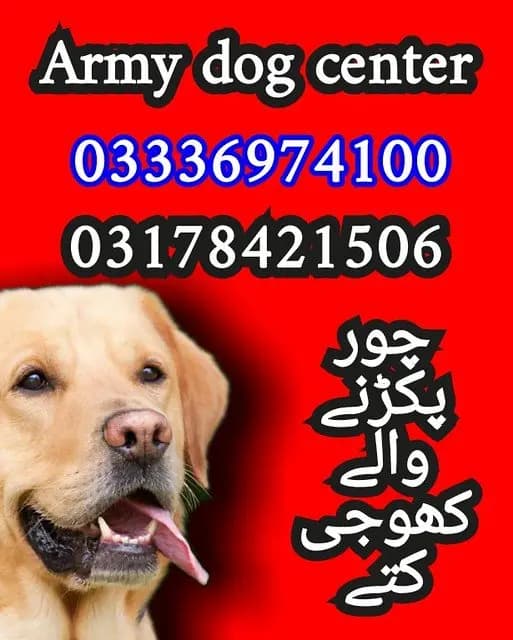 army dog center 03336974100