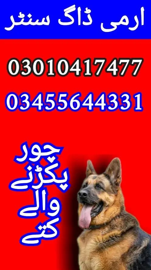 Army dog center 03010417477